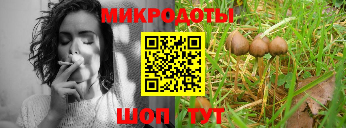 Галлюциногенные грибы прущие грибы Норильск